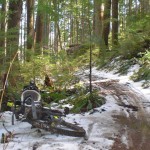 Transition Double next to a snow covered Cumberland MTB Trail