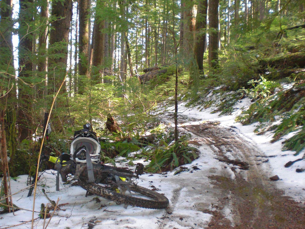 Transition Double next to a snow covered Cumberland MTB Trail