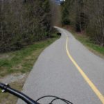 Bear on Whistler Valley Trail