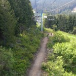 Whistler Bike Park