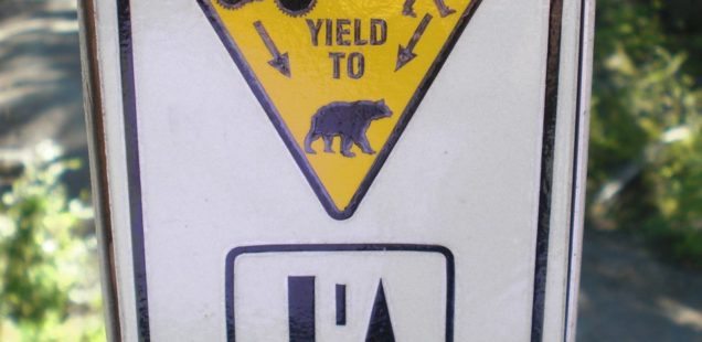 Yield to Bears Sign
