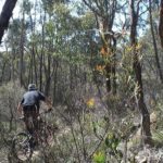 Tunnel Vision Eagle MTB Park