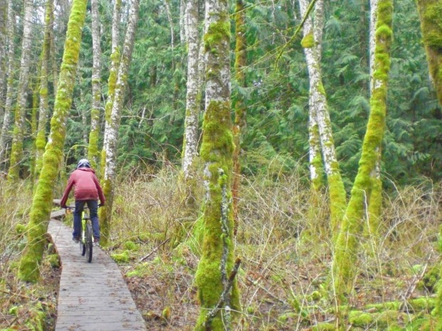 Riding a boardwalk at Galbraith Mountain