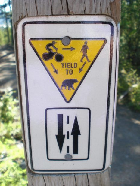 Yield to Bears sign near Lost Lake, Whistler, BC