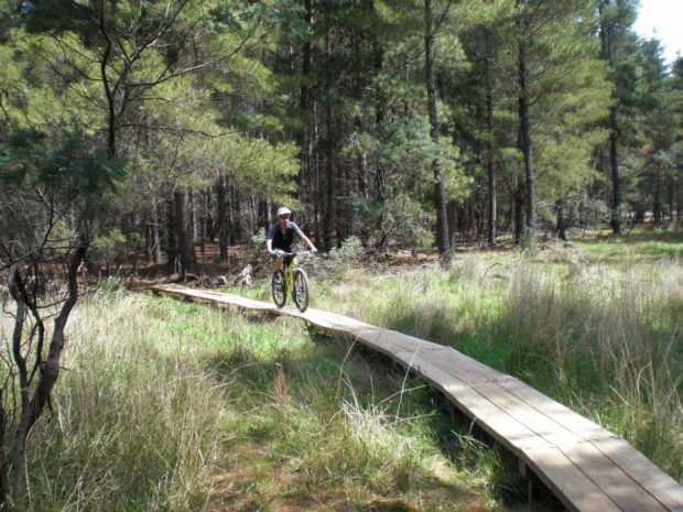 Mountain Biking at Majura Pines