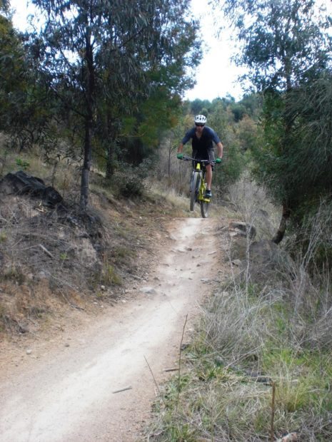 Descending the Skyline trail Mount Stromlo