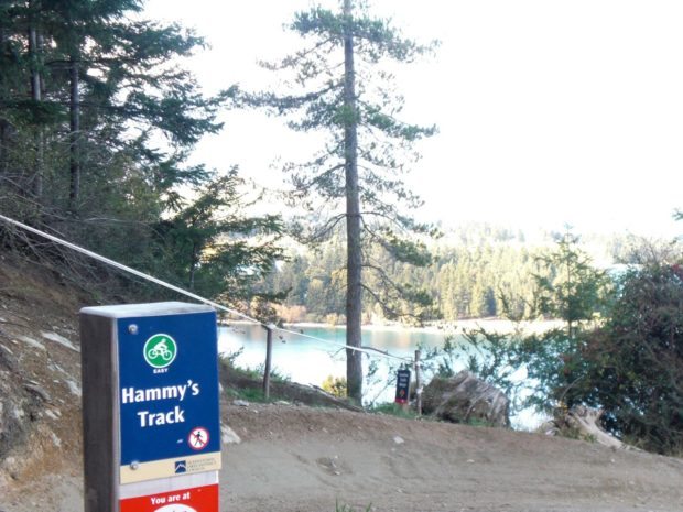 Hammy's Track at Queenstown Bike Park