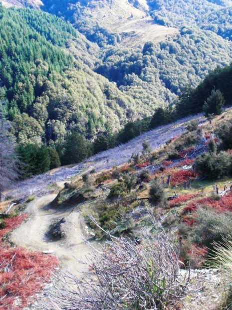 Amazing views from the Queenstown Bike Park trails