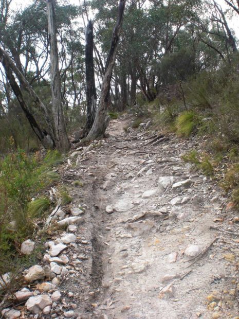 Welcome to Australia and our rocky rutted trails