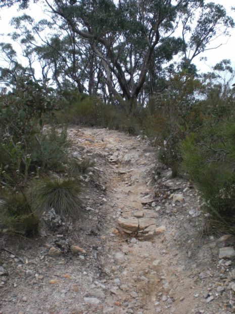 Lower Southside Eagle Mountain Bike Park