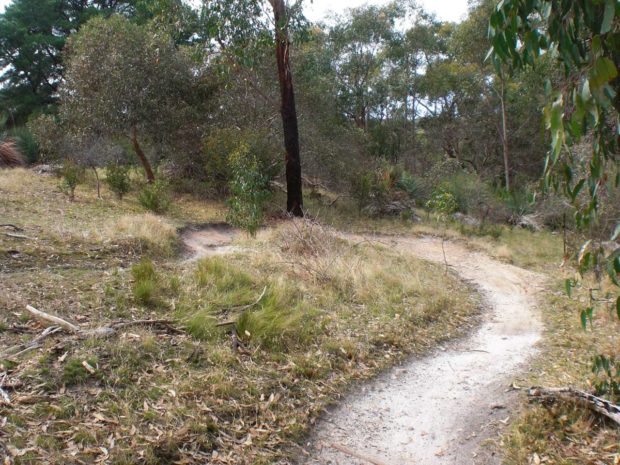 Southside flow Eagle MTB Park