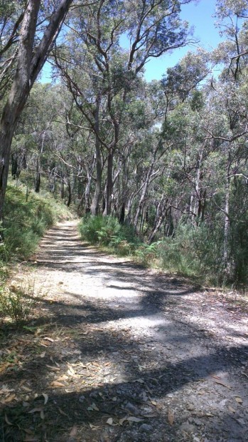 Mountain Biking in Cleland Conservation Park, Adelaide