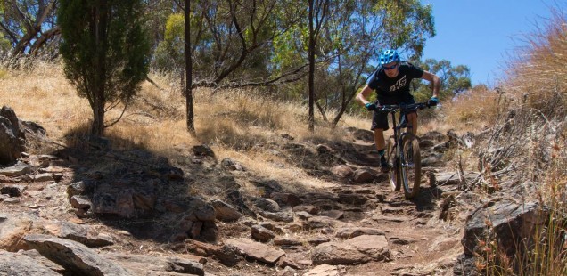 Cobbler Creek MTB Trails